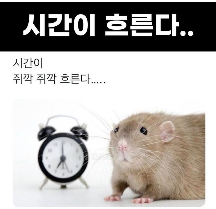 기흥 씨앤씨 중등반 일상, 크로키와 함께 만드는 수업의 분위기 · 블로그 사진 3